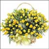 Classy Touch of Feelings - Click here to View more details about this Product